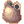 Armadura