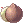 Fruta de coco