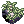 Musgo empapado de rocío
