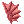 Aleta
