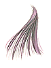 Cabello negro
