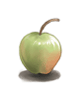 Manzana inmadura