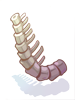 Una gruesa columna vertebral de Tikbalang