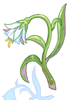 Flor de ilusión