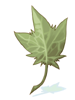 Hoja enorme