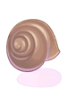 Caparazón de caracol