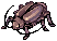 Bicho ladró hembra
