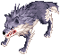 Lobo vagabundo