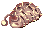 Oruga
