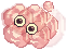 Nocivo