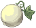 Gourd