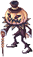 Organic Pumpkin
